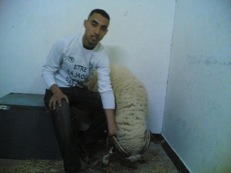 moi ie  ma3